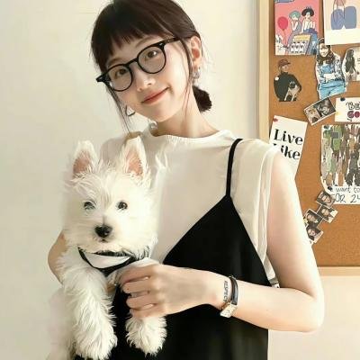 青春环游记第四季